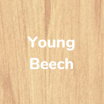 Young Beech